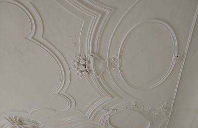 Schloss kaufen 04600 Altenburg, Thüringen,, Ansicht