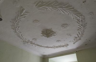 Schloss kaufen 04600 Altenburg, Thüringen,, Ansicht