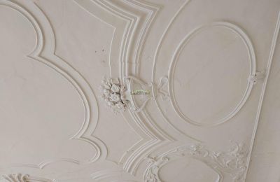 Schloss kaufen 04600 Altenburg, Thüringen,, Stuckdecken