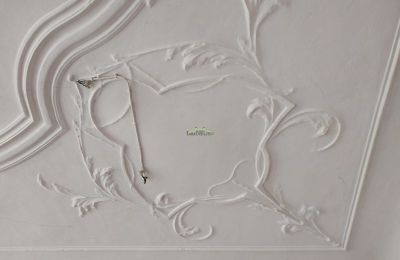 Schloss kaufen 04600 Altenburg, Thüringen,, Stuckdecken