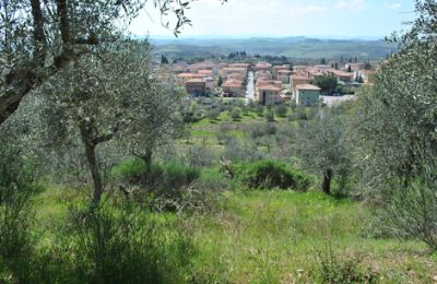 Bauernhaus kaufen Siena, Toskana:  RIF 3071 Ausblick