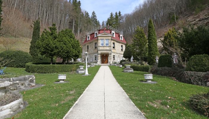 Historische Villa Bad Urach 3