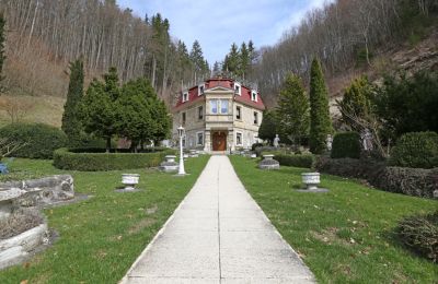Historische Villa kaufen 72574 Bad Urach, Baden-Württemberg, Frontalansicht