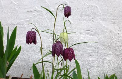 Schloss kaufen 91792 Ellingen, An der Vogtei 2, Bayern, Foto 38/61