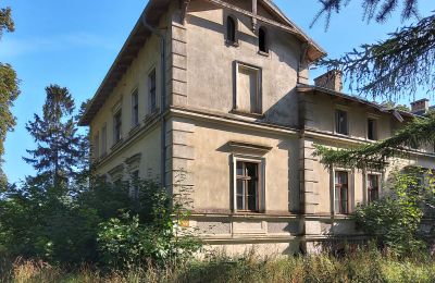 Schloss kaufen Stradzewo, Pałac w Stradzewie, Westpommern, Seitenansicht