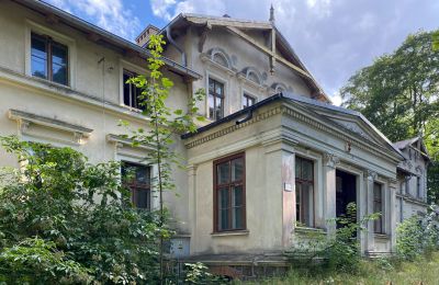 Schloss kaufen Stradzewo, Pałac w Stradzewie, Westpommern, Eingang