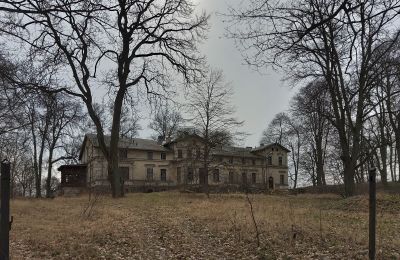 Schloss kaufen Stradzewo, Pałac w Stradzewie, Westpommern, Park