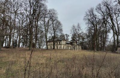 Schloss kaufen Stradzewo, Pałac w Stradzewie, Westpommern:  Park