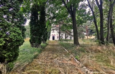 Schloss kaufen Opava, Moravskoslezský kraj, Zufahrt