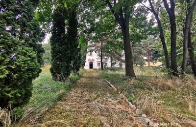 Schloss kaufen Opava, Moravskoslezský kraj:  Zufahrt