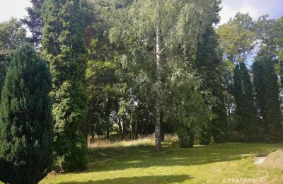 Schloss kaufen Opava, Moravskoslezský kraj, Park