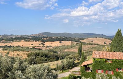 Landhaus kaufen Campagnatico, Toskana:  Aussicht