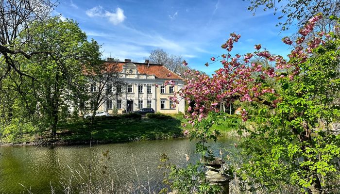 Schloss kaufen Gola, Großpolen