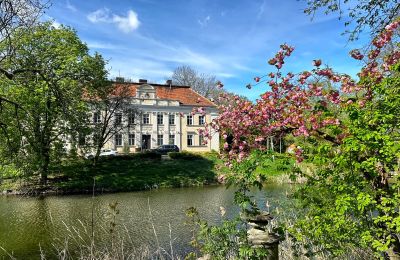 Schloss kaufen Gola, Großpolen, Foto 2/42