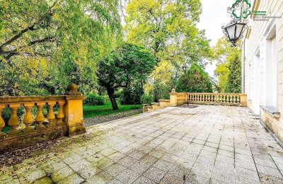 Schloss kaufen Gola, Großpolen, Foto 38/42