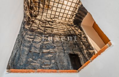 Burg kaufen Třebotov, Třebotov tvrz, Středočeský kraj, Foto 22/36