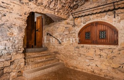 Burg kaufen Třebotov, Třebotov tvrz, Středočeský kraj, Foto 29/36