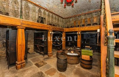Burg kaufen Třebotov, Třebotov tvrz, Středočeský kraj, Foto 30/36