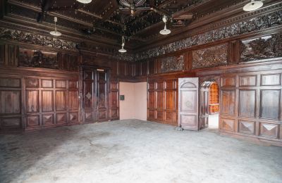 Schloss kaufen Bożków, Palac Wilelma von Magnis 1, Niederschlesien, Jagdzimmer