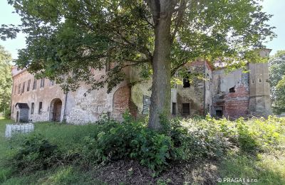Schloss kaufen Karlovarský kraj:  Park