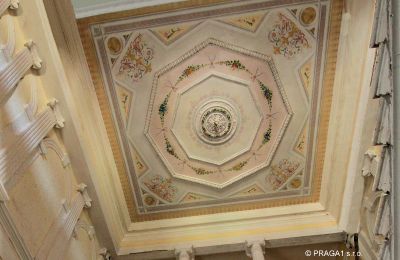 Schloss kaufen Karlovarský kraj, Decke