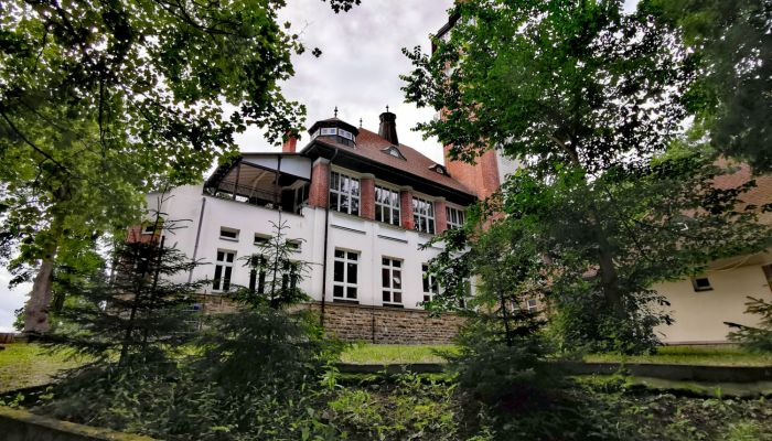 Historische Villa Karlovy Vary town 3