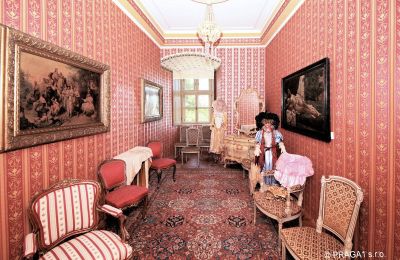 Schloss kaufen Olomoucký kraj, Foto 7/14