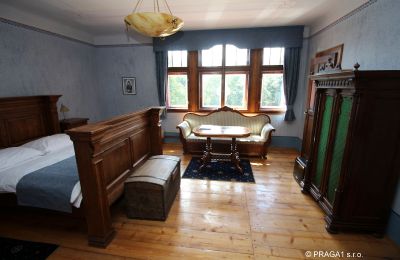 Schloss kaufen Jihočeský kraj, Foto 12/21