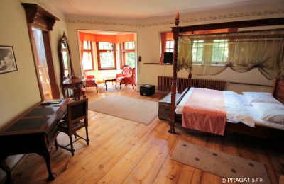 Schloss kaufen Jihočeský kraj, Foto 13/21