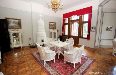 Schloss kaufen Jihočeský kraj, Foto 6/21