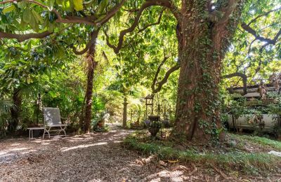 Historische Villa kaufen Verbano-Cusio-Ossola, Pallanza, Piemont, Garten