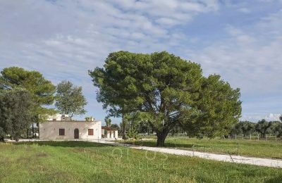 Landhaus kaufen Francavilla Fontana, Apulien:  Außenansicht