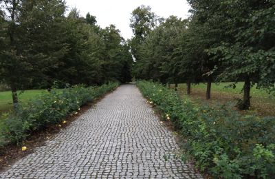 Herrenhaus/Gutshaus kaufen Zarębów, Dwór w Zarębowie, Lodz, Zufahrt