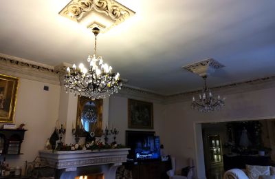 Herrenhaus/Gutshaus kaufen Zarębów, Dwór w Zarębowie, Lodz, Foto 8/22