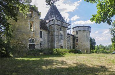 Burg kaufen Périgueux, Neu-Aquitanien:  Vorderansicht