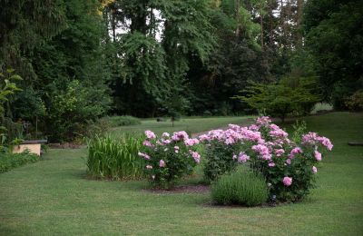 Schloss kaufen Baden-Württemberg, Park