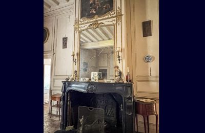 Schloss kaufen Le Mans, Pays de la Loire, Kamin