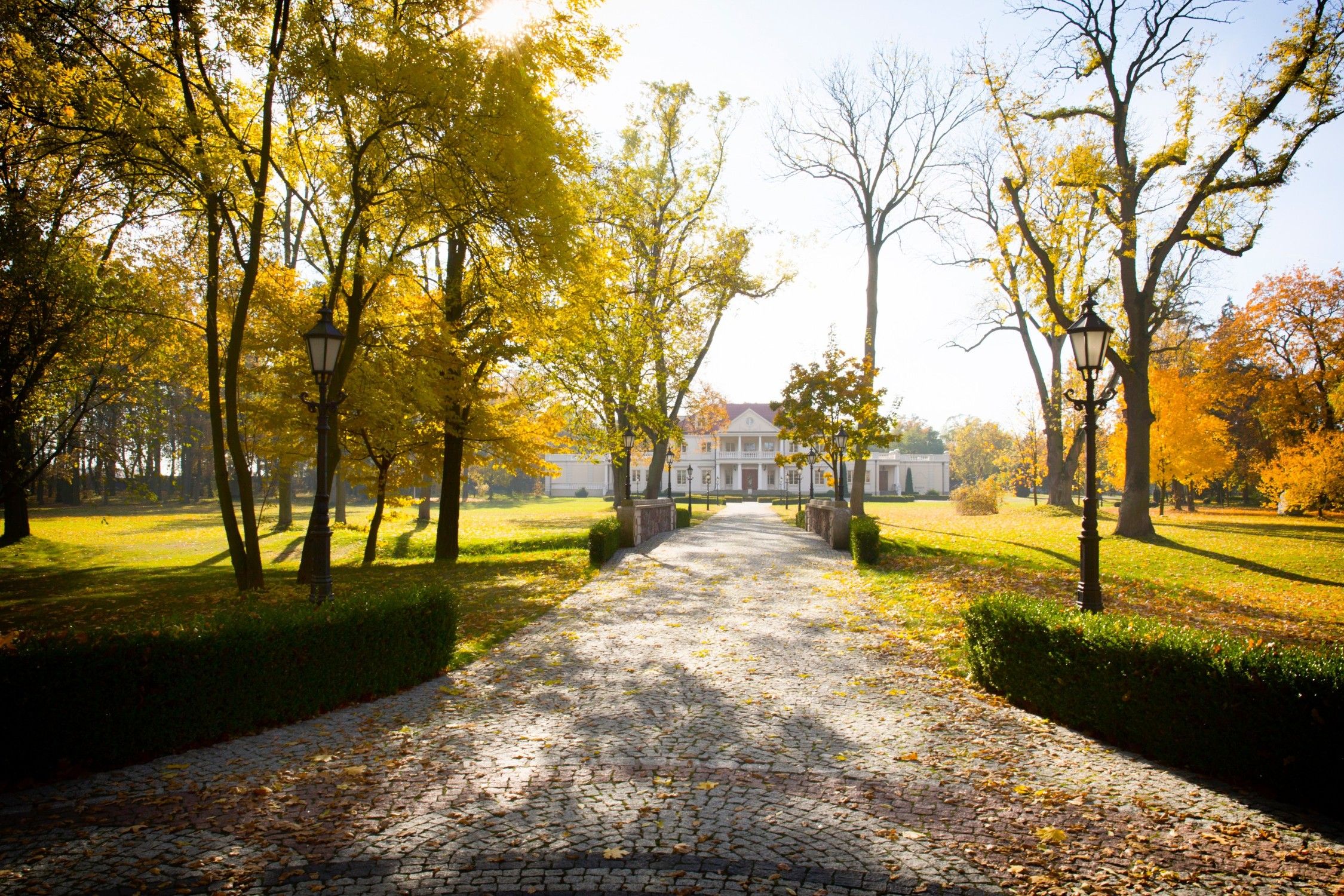 Fotos Herrenhaus und Park in Zborów, Region Großpolen