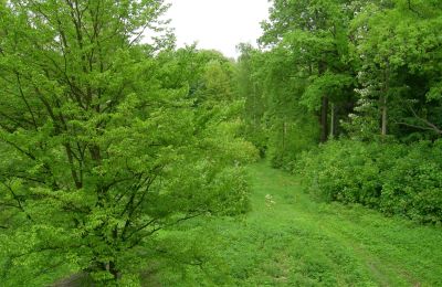 Schloss kaufen Gwoździany, Spółdzielcza 4a, Schlesien:  Park