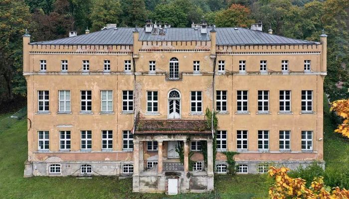 Schloss kaufen powiat gorzowski, gmina Witnica, Dąbroszyn