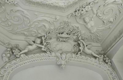 Schloss kaufen Dąbroszyn, Pałac w Dąbroszynie, Lebus,  © Stowarzyszenie Templum