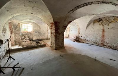 Schloss kaufen Dąbroszyn, Pałac w Dąbroszynie, Lebus, Keller