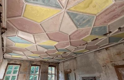 Schloss kaufen Dąbroszyn, Pałac w Dąbroszynie, Lebus, Decke