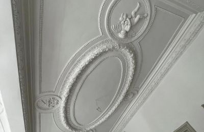 Schloss kaufen Dąbroszyn, Pałac w Dąbroszynie, Lebus, Decke