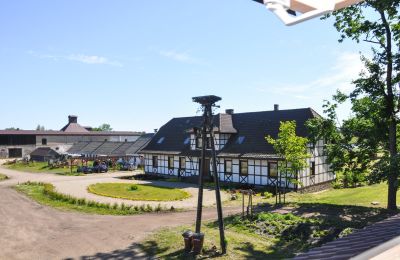 Herrenhaus/Gutshaus kaufen Westpommern, Foto 5/20
