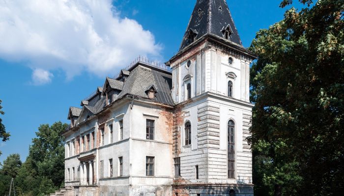 Schloss Budziwojów 1