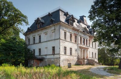 Schloss kaufen Budziwojów, Pałac w Budziwojowie, Niederschlesien:  