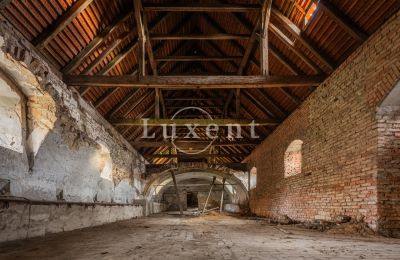 Schloss kaufen Žitenice, Zámek Žitenice, Ústecký kraj, Foto 23/31