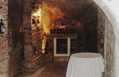 Herrenhaus/Gutshaus kaufen 3620 Spitz, Hinterhaus 2, Niederösterreich, Keller