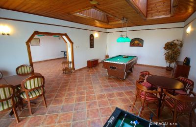 Herrenhaus/Gutshaus kaufen Levín, Ústecký kraj, Foto 15/19
